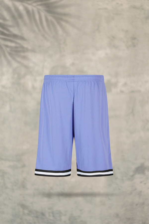 Small Signature Essential Mesh Shorts  Lillac