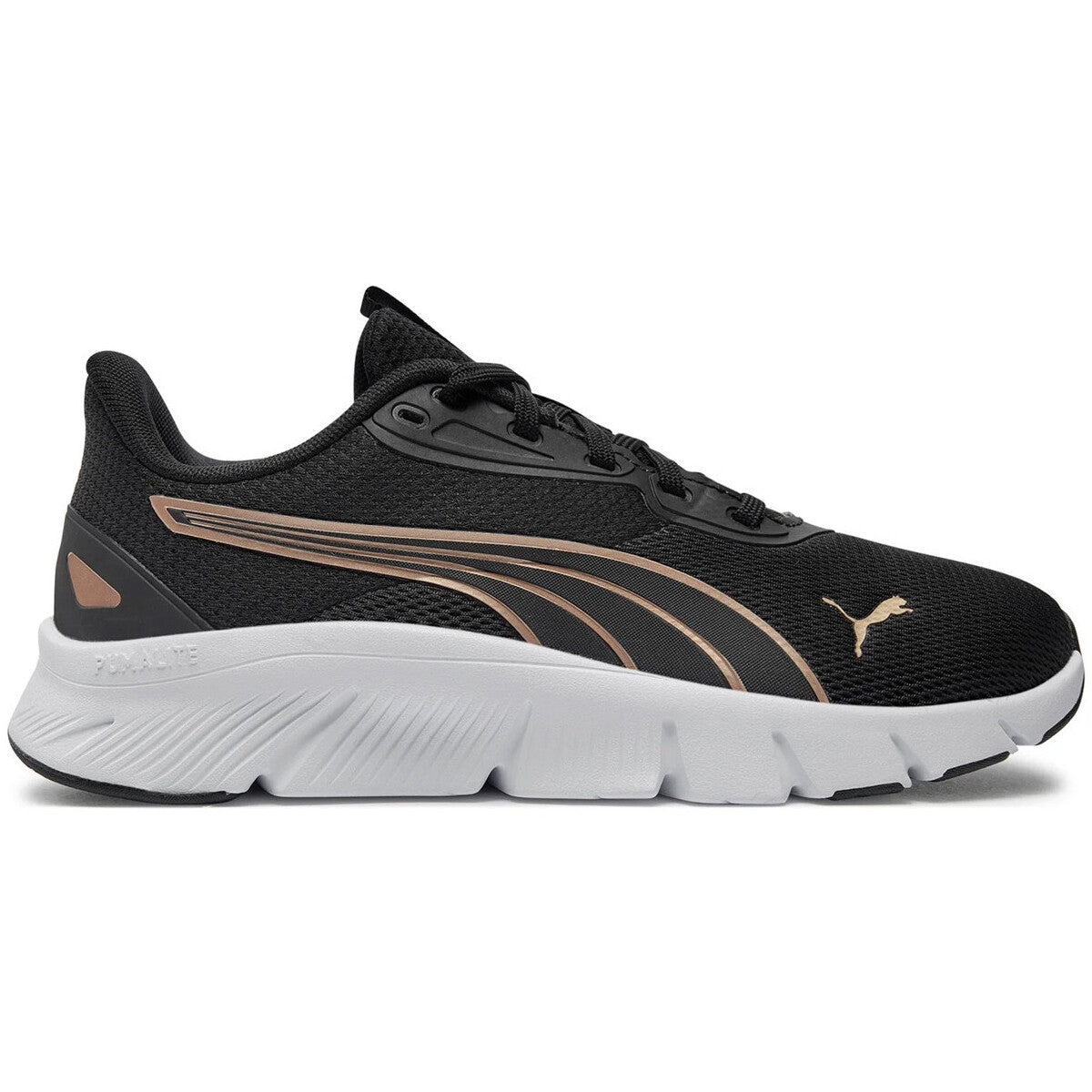 flex focus lite w