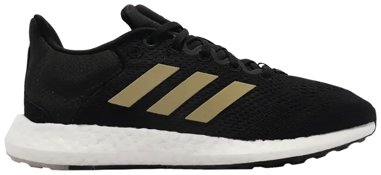 PUREBOOST 21 W